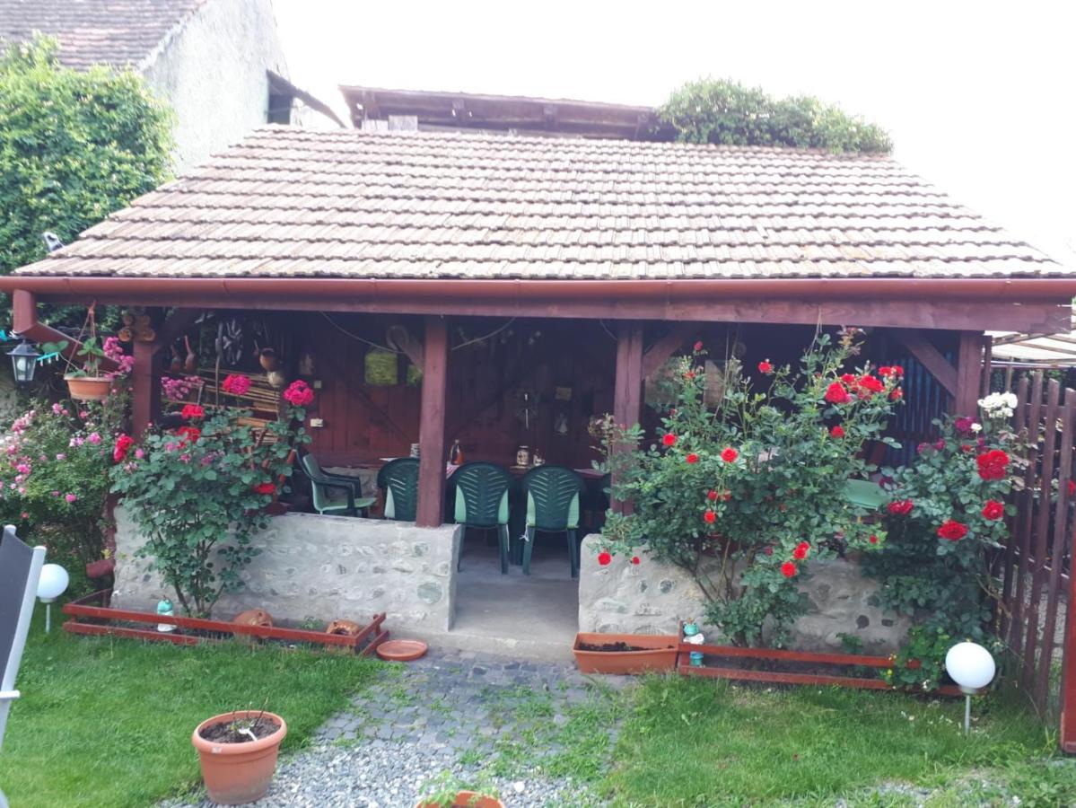 Pension Ela Sibiu Ngoại thất bức ảnh