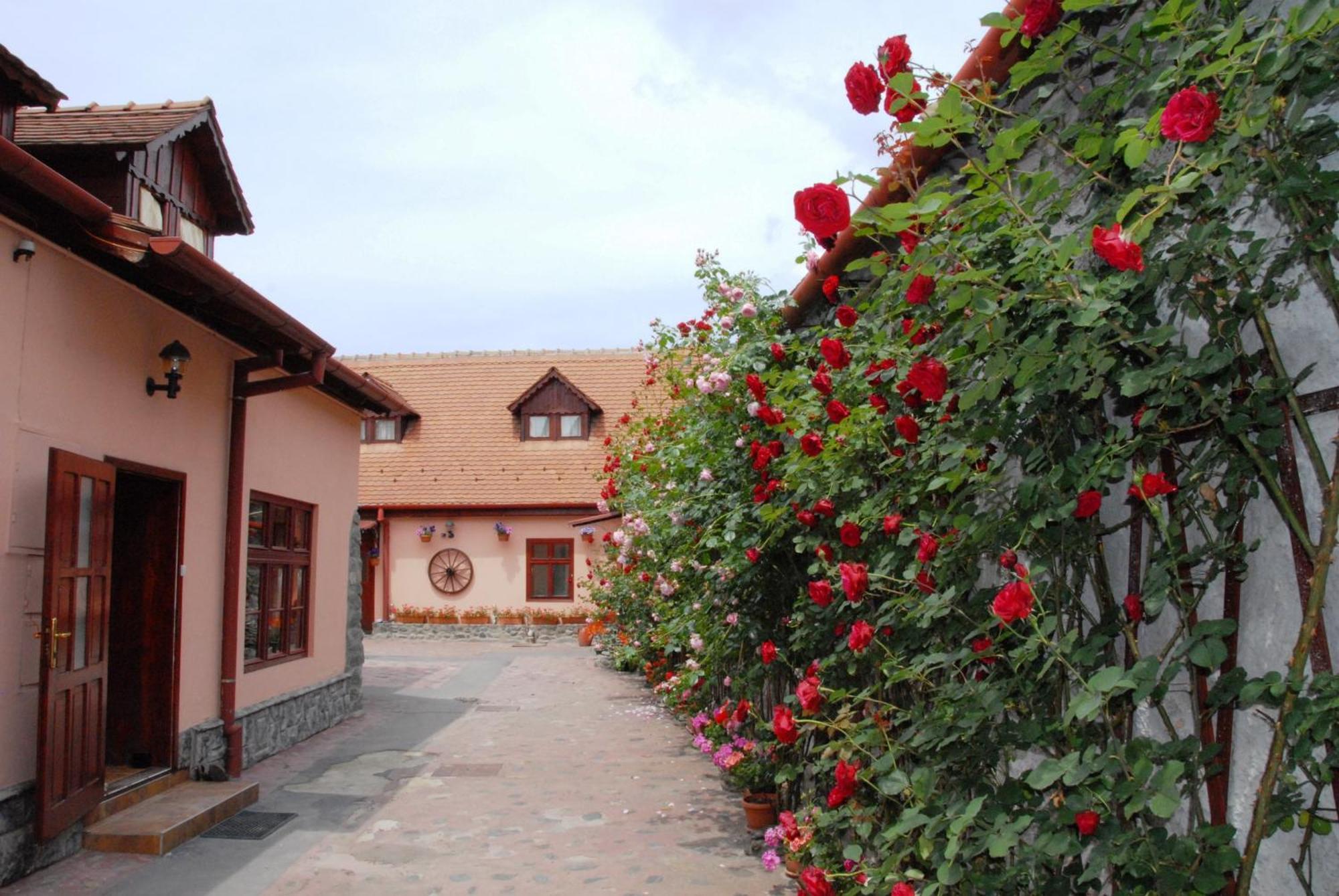 Pension Ela Sibiu Ngoại thất bức ảnh